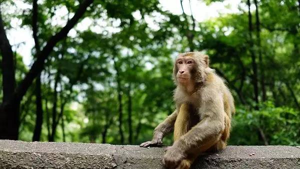 鸡冻!衢州人能坐高铁到云南啦!省了30小时,沿途风景美哭你!