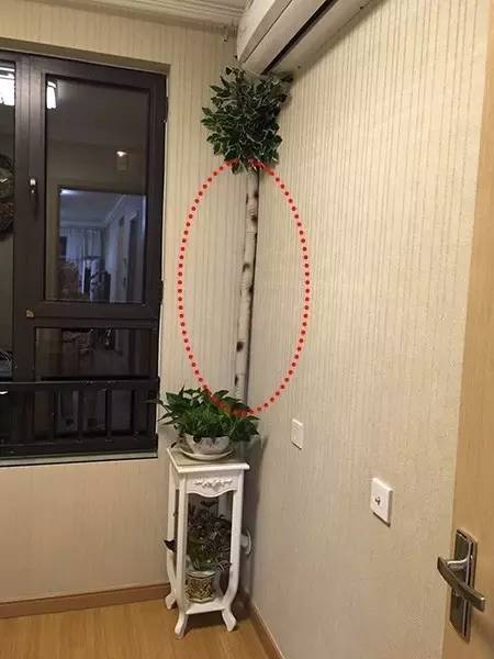 中海锦园怎么样,中海锦园