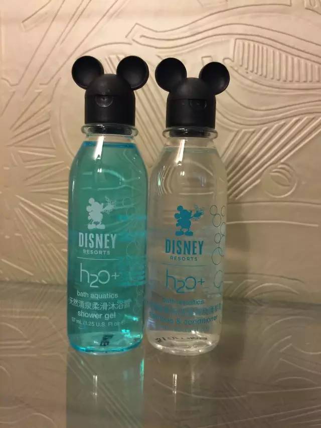 迪士尼好莱坞酒店门口有海边么,迪士尼好莱坞酒店要门票吗