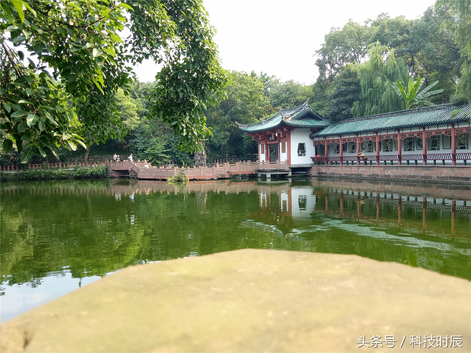 正面指纹解锁的千元机,oppo手机新款a59什么时候上市