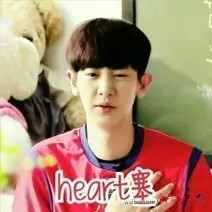 exo队长朴灿烈,exo成员朴灿烈