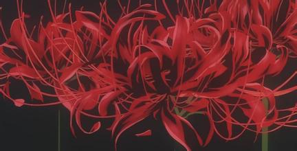 大慈大悲观世音菩萨的心经,观世音菩萨度一切苦厄心经