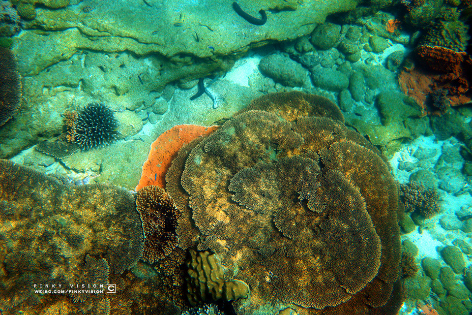 travel环球旅行,travel新旅行