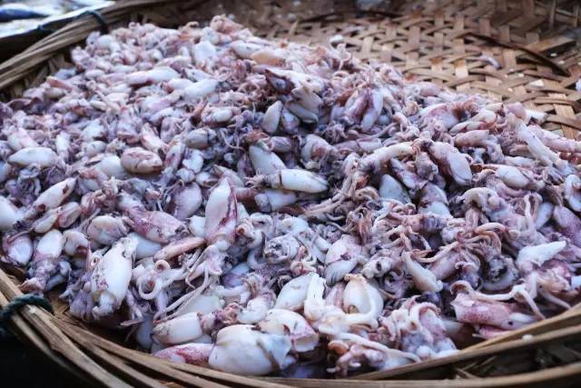 泉州一条老街一段故事,泉州老街巷的传说