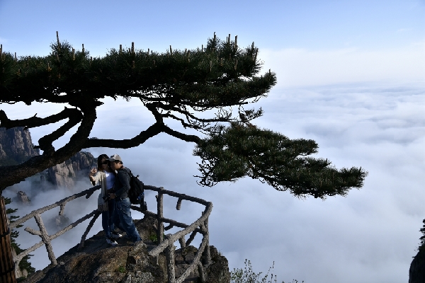 黄山四绝奇松迎客松,黄山五绝和黄山五胜