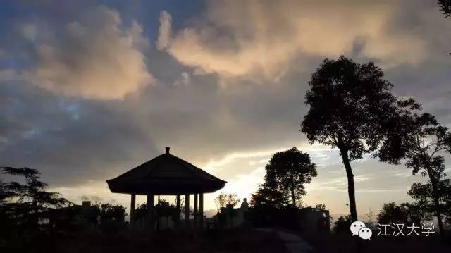 姹熷ぇ缇庢櫙,濮滃ぇ缇庝附