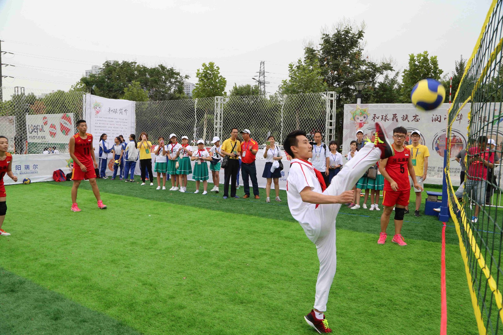 热爱体育的小伙伴们,热爱体育的朋友们视频