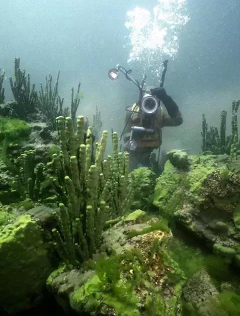 比东南亚划算还免签,只要1W,就能到俄国最美的贝加尔湖!