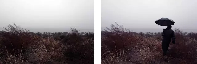 应对世界的入世方案——张锰