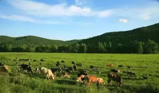 跟着电影去旅行全集,跟着电影去旅行视频