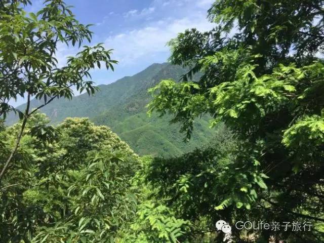 避暑山庄亲子游,安吉夏季亲子旅游避暑山庄