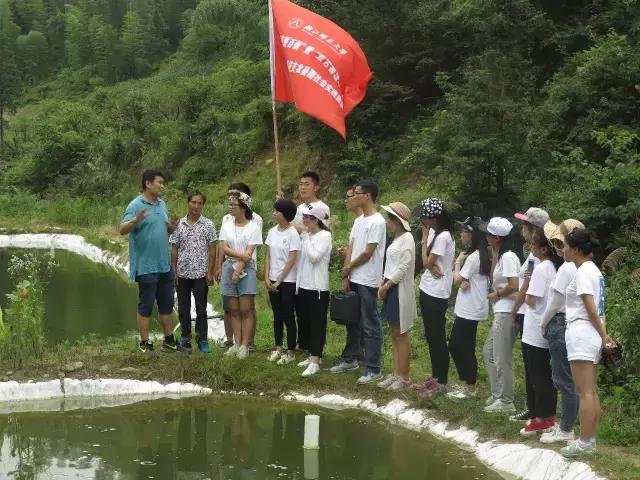 这很浙师！7支“双百双进”实践队在磐安点亮青春！