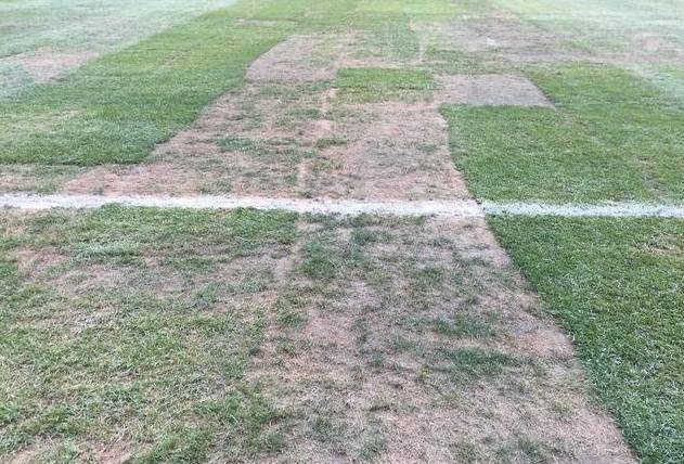 为了球员跑得欢,英国人已经和草坪死磕了80年