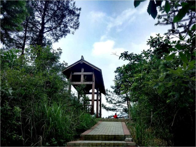 天赐“凉”机雍山谷夏季温度23℃