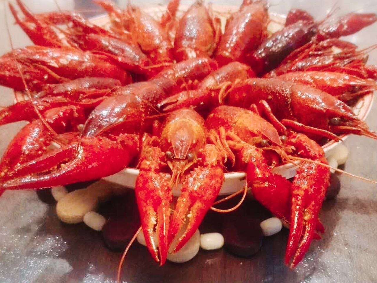 以科技创新驱动健康食品行业变革,以科技颠覆行业