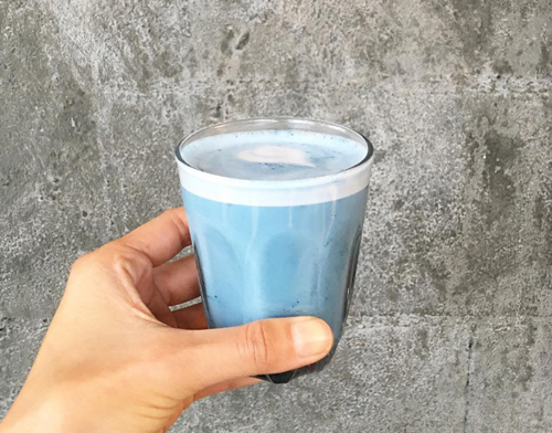 （城记|小灰枣）皮卡皮卡~皮卡丘~