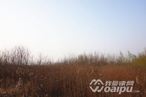 市场前瞻：外围投资客撤离合肥下半年商铺销售会降温