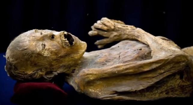 世界十大博物馆之恐怖博物馆 (世界上最恐怖的博物馆泰国)