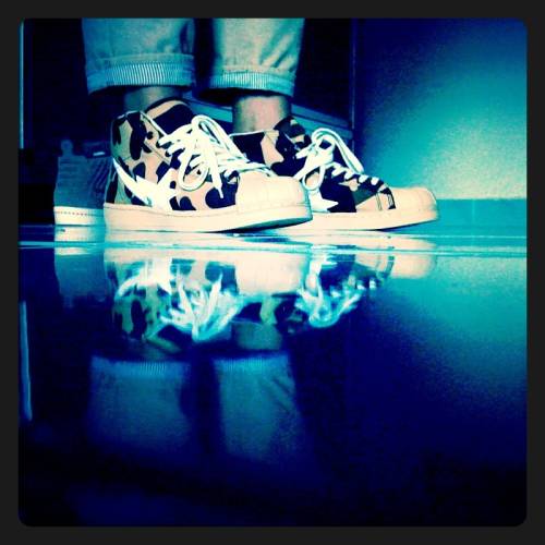 丸丸被妈妈忽悠,丸丸被妈妈忽悠现场