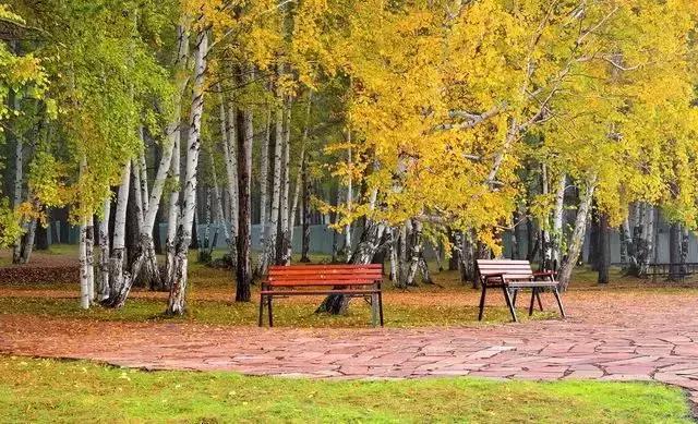 比东南亚划算还免签,只要1W,就能到俄国最美的贝加尔湖!