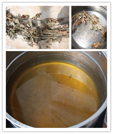 艾叶洗澡能治疗热痱子,婴儿艾叶水洗澡可以祛痱子吗