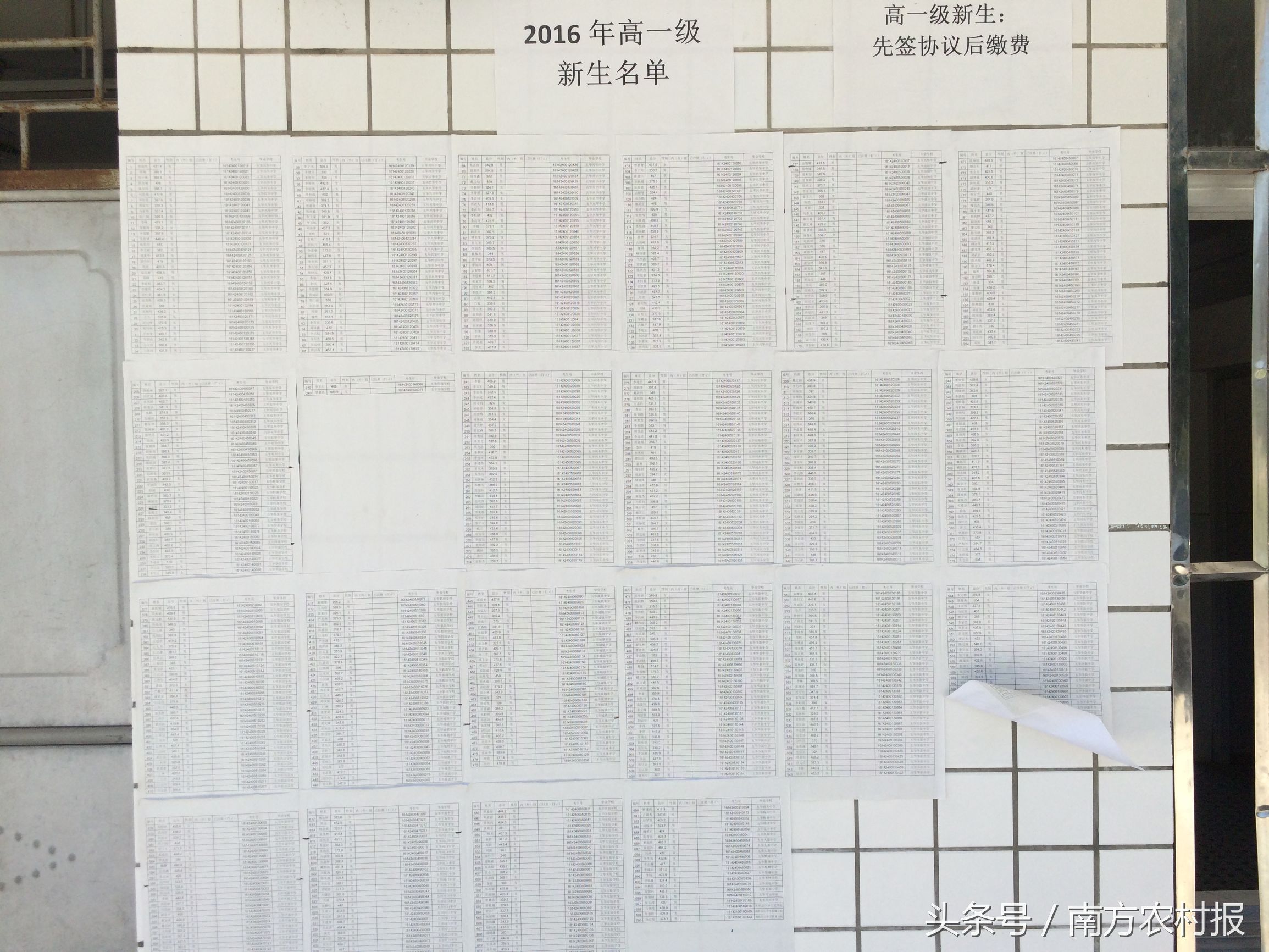 广东省高中转学新政策,高中转学政策最新规定广东