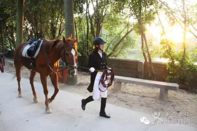 七夕开车去约会,七夕开车约会指南