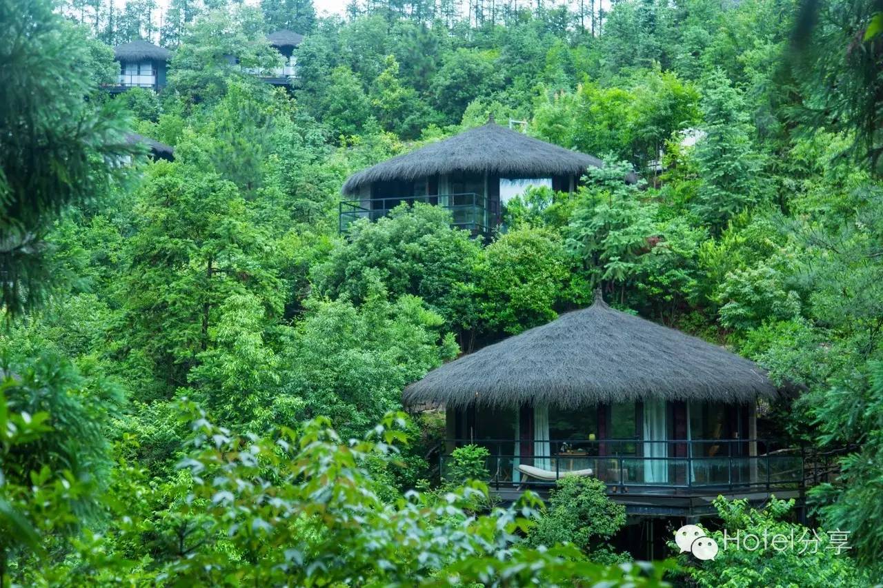 莫干山裸心谷的风景怎么样,莫干山裸心谷值得去吗