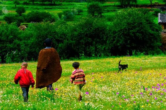 大理丽江5天4晚旅游攻略自驾游,大理丽江5日自驾游详细攻略