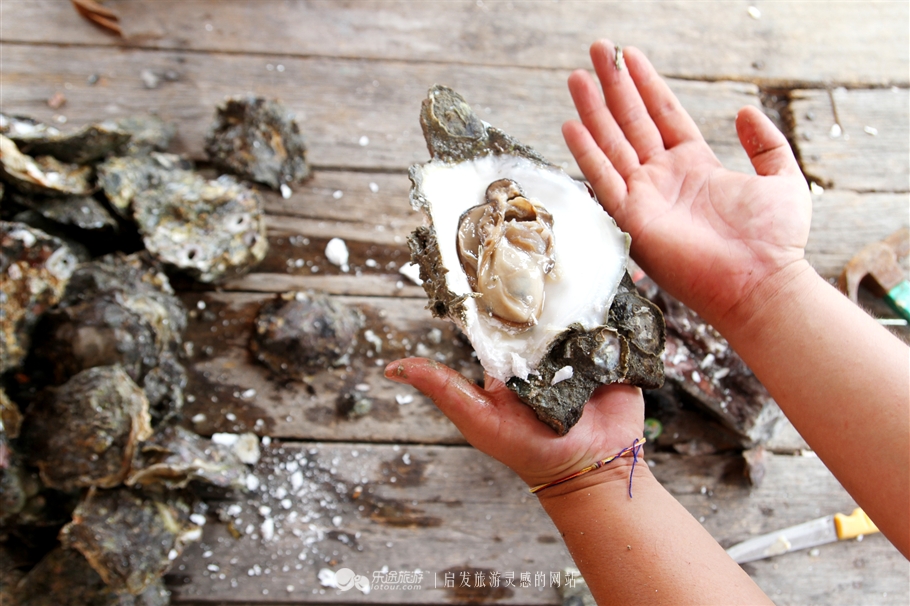 放学别走！雪兰莪喊你去补生物课！