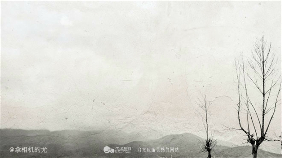 一个女孩一个相机,一个女的拿着单反相机旅游