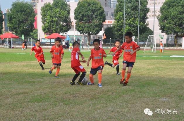 不得了!柯城这群绿荫小将拿了全省冠军!