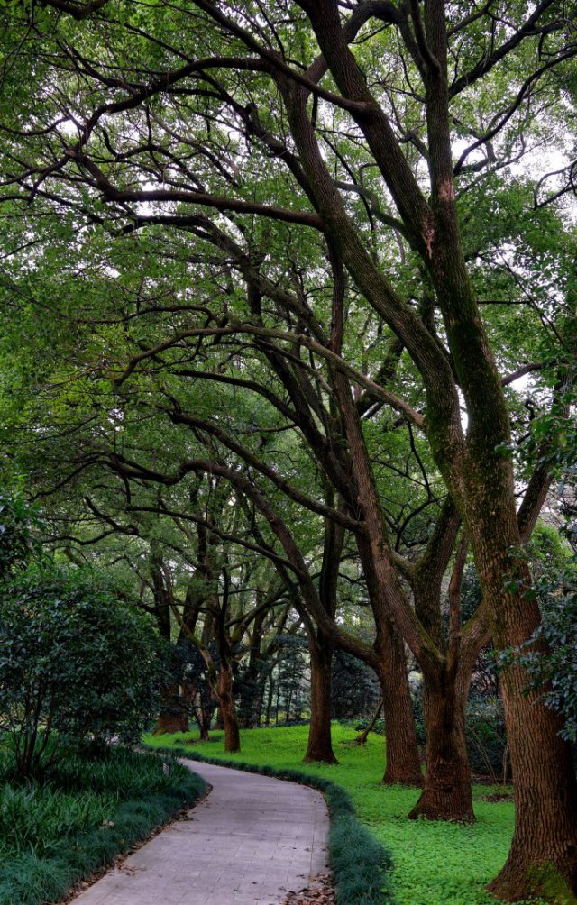 上海西郊宾馆可以参观吗,上海西郊宾馆游玩心得