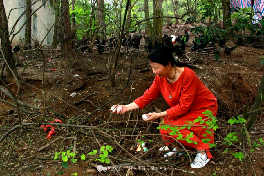 蛇形山镇最新诈骗案,蛇形山镇缅甸诈骗案