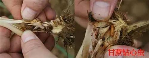 便宜没好货贵了也未必就一定好,便宜没好货别等上当再后悔