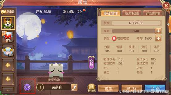 自由幻想宠物变形,自由幻想手游平民宠物