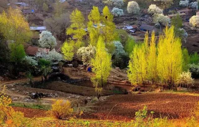 辽宁景点门票,辽宁省景点大全一览表