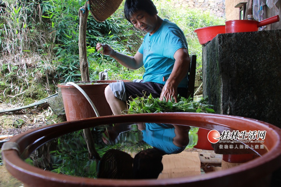 仙人豆腐消失的原因,仙人豆腐的发源地