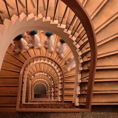 摄影大赛最美瞬间,摄影大赛不负韶光