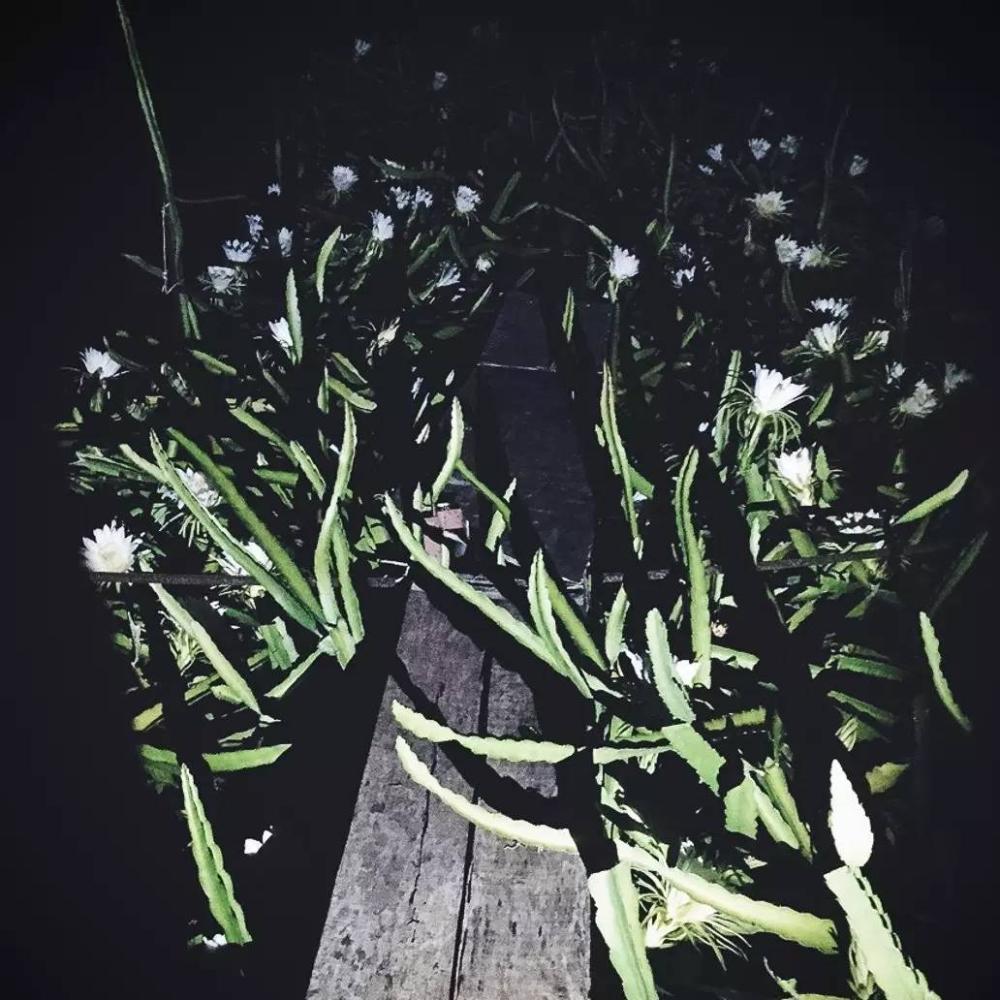 里约大冒险旅行,里约大冒险巴西旅游