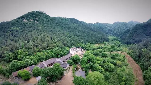 桐柏哪里买茶好,桐柏茶旅位置