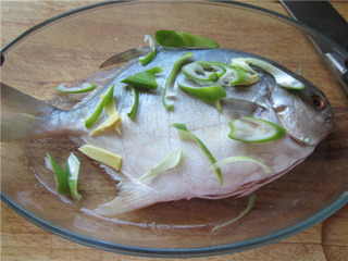 萝卜鲳鱼,鲳鱼萝卜粉丝汤