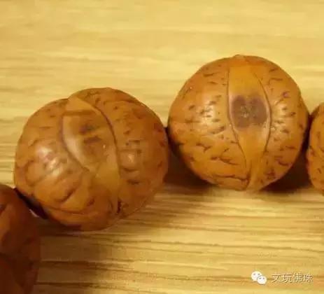 尼泊尔凤眼大的好还是小的好,尼泊尔凤眼菩提好还是金刚好