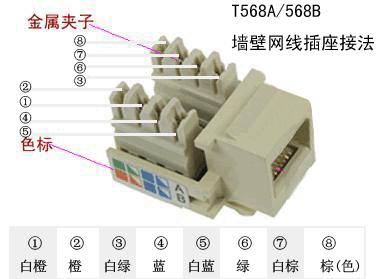 年轻人都会头疼的一个问题，大多新房子都不知道网线如何布置呢？