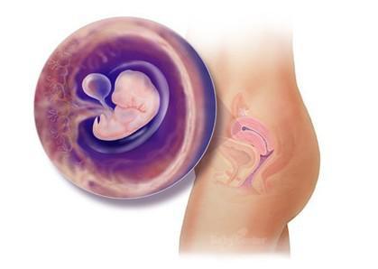 惊奇宝宝第一季,怀孕过程中的十大惊奇发现