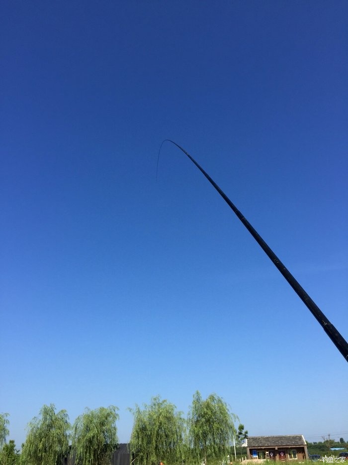 鳜鱼活性低用哪种拟饵,路亚鳜鱼拟饵