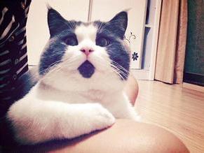 余文乐有新恋情吗,余文乐恋情