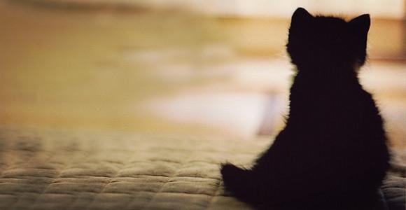 小伤口，大裂痕——造口人被“改道”的人生