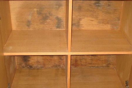 家里去霉味最快最好的办法,夏天家里霉气太重用了这小妙招