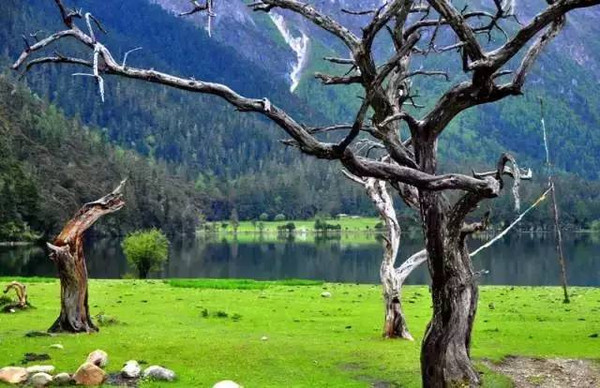 分享四川最值得去的9个地方景点,福利市景点